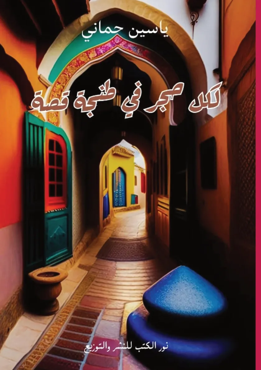 Front cover — Every Stone in Tangier Has a Story